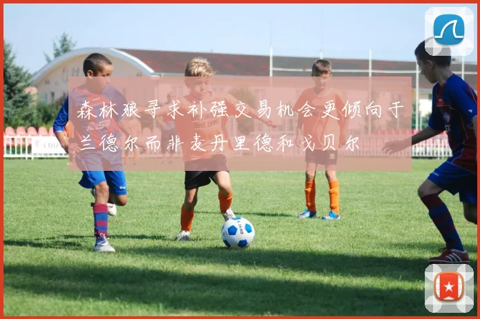 森林狼寻求补强交易机会更倾向于兰德尔而非麦丹里德和戈贝尔